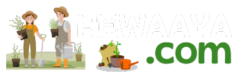 Hewaaya logo
