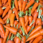 When To Plant Carrots In Texas (2024)