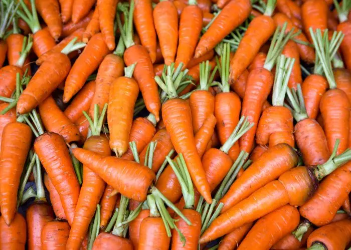 When To Plant Carrots In Texas